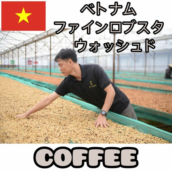 コーヒー豆　ベトナム　ファインロブスタ