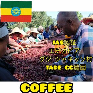 コーヒー豆　エチオピア　グジ　シャキッソ
