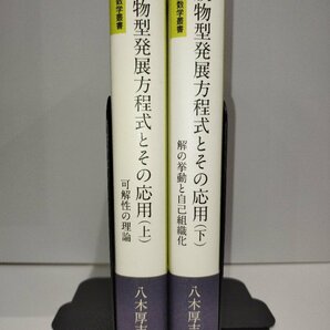 岩波数学叢書 放物型発展方程式とその応用 上下巻セット 可解性の理論 解の挙動と自己組織化 八木厚志 岩波書店【ac02l】の画像3