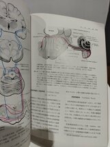 CORE TEXT OF NEUROANATOMY　神経解剖学　第4版　廣川書店【ac04l】_画像5