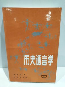 Исторический язык китайские книги/средние предложения/лингвистика/грамматика [AC04B]