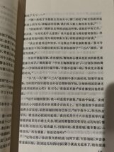 南京的陥落　中国語書籍/中文/小説/戦争/日本軍【ac04b】_画像5