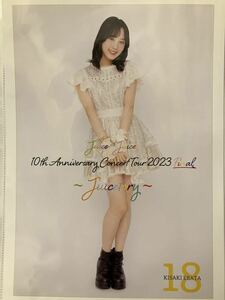 18 江端妃咲 Juice=Juice 10th Anniversary Concert Tour 2023 Final ～Juicetory～ コレクションピンナップポスター ピンポス 武道館