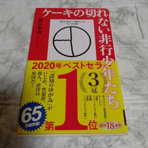 ケーキの切れない非行少年たち 宮口幸治