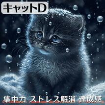 【キャットD】ダイヤモンドアート 猫 初心者 ペン キット ねこ セット_画像1