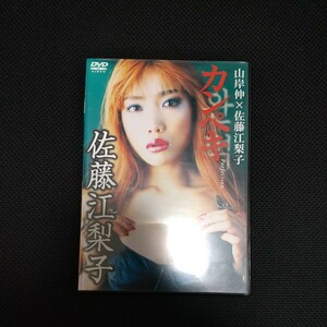 【匿名配送】中古 DVD【佐藤江梨子　サトエリ　カンペキ】