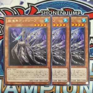 z3859☆遊戯王☆ 揺海魚デッドリーフ 3枚 レア ROTD