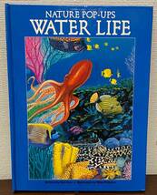 【飛び出す絵本】WATER LIFE　NATURE POP-UPS　　IDEALS　しかけ絵本　英語_画像1