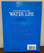 【飛び出す絵本】WATER LIFE　NATURE POP-UPS　　IDEALS　しかけ絵本　英語_画像2