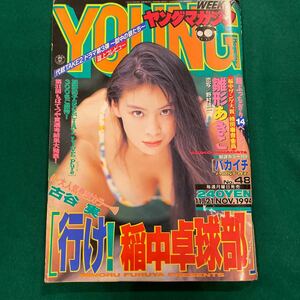 ヤングマガジン■1994年No.48■雛形あきこ■古谷実■ルパン三世■行け!稲中卓球部■ハカイチ