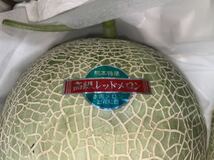 9箱出品！大人気！熊本産 赤肉メロン【秀品2玉3L約4k箱込】熊本フルーツ堂_画像2