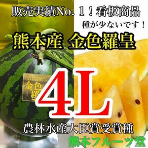 【特大】甘くてシャキシャキ！大玉スイカの最高傑作【金色羅皇】4Lサイズ（9kg以上）熊本植木産 熊本フルーツ堂41