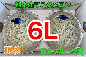 現物！最高糖度17度！熊本産 マスクメロン【ご家庭用2玉6L約4.8k箱込】熊本フルーツ堂9