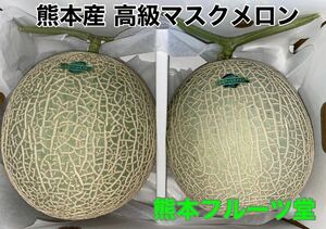 出来る限り早く発送！最高糖度17度！熊本産 最高級マスクメロン【秀品2玉特6L約5.5k箱込】熊本フルーツ堂14