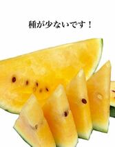 【特大】甘くてシャキシャキ！大玉スイカの最高傑作【金色羅皇】4Lサイズ（9kg以上）熊本植木産 熊本フルーツ堂42_画像5