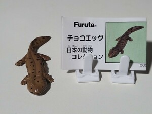 【美品】超レア　チョコエッグ　日本の動物コレクション　第1弾　オオサンショウウオ　解説書付き　フィギュア 