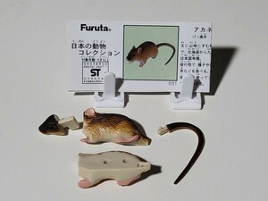 【美品】チョコエッグ　日本の動物コレクション　第2弾　アカネズミ　解説書付き　フィギュア 