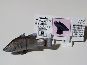 【美品】チョコエッグ　日本の動物コレクション　第3弾　アカメ　解説書付き　フィギュア 