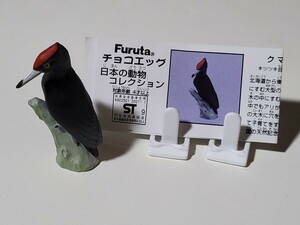 【美品】チョコエッグ　日本の動物コレクション　第3弾　クマゲラ　解説書付き　フィギュア 