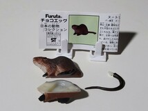 【美品】チョコエッグ　日本の動物コレクション　第3弾　ヌートリア　解説書付き　フィギュア _画像1