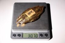 博物館展示品　来歴有　2538　清時代　封金伽羅　重量約30.70ｇ　（検）香木 沈香 唐物 古道具 中国美術 古玩_画像8