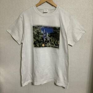 スペシャル 1995 Blur Blur's Country House ヴィンテージ Tシャツ NICEMAN製 80s 90s 英国 ロック ブラー ユーロ