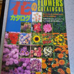 園芸店で買える花のカタログ