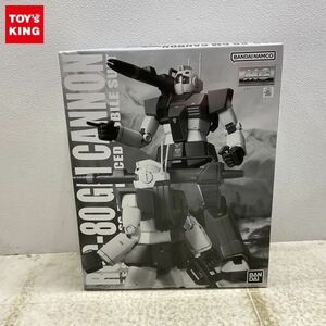 1円〜 MG 1/100 機動戦士ガンダム MSV ジム・キャノン