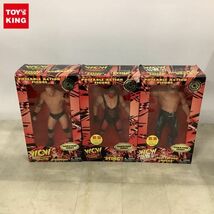 1円〜 トイメーカーズ WCW レスラー フィギュア ハルク・ホーガン スティング 他_画像1