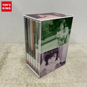 1円〜 やまとなでしこ DVD BOX