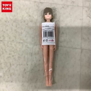 1円〜 未開封 リカちゃんキャッスル お人形教室レンくん 前髪シャギー真ん中分けショート 濃い金茶