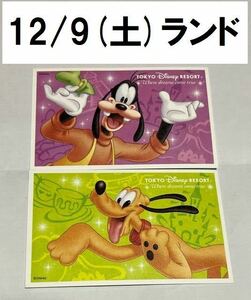 12月9日(土)ディズニーランド チケット2枚 12/9ペアパスポート