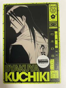 BLEACH исходная картина выставка BLEACH EX. FINAL входить место привилегия . дерево белый .