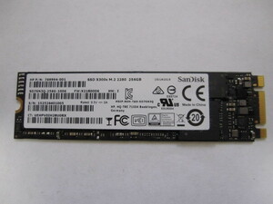 SANDISK M.2 SSD SD7SN3Q X300s M.2 2280 256GB 動作品