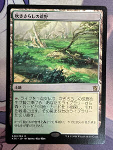 MTG　《吹きさらしの荒野/Windswept Heath》　KTK　日本語