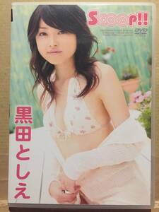 中古DVD Scoop!! 黒田としえ Bachicco! 黒田稔恵 ばちこい! ばちっ娘! 有田哲平 ローカル アイドル 水着 フットサル クリックポスト発送等