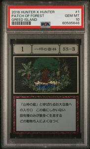 ★ PSA10 一坪の密林 No.1 SS-3 ★ HUNTER × HUNTER ハンター ハンター グリードアイランド ハイエストセレクション ★