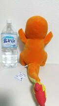 ポケットモンスター☆ヒトカゲめちゃもふぐっとぬいぐるみ_画像4