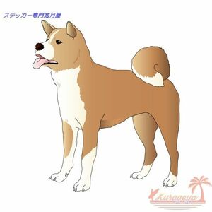 高品質　犬のステッカー　リアルタッチ　秋田犬