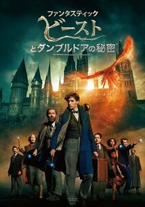 2023.04.19発売 ファンタスティック・ビーストとダンブルドアの秘密 (DVD) 1000826443-HPM