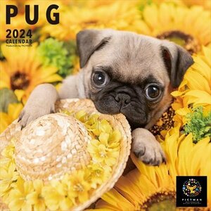 2023/9/16発売予定! パグ PICTWAN (ピクトワン) カレンダー DOG 【L版】 2024年カレンダー24CL-50021L