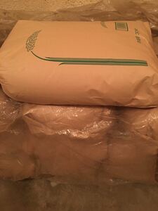 令和4年　香川産　コシヒカリ　10kg 玄米(白米) 減農薬　送料無料