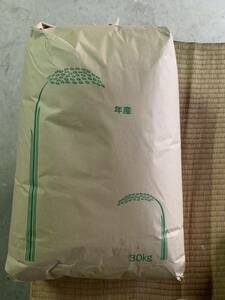 令和5年度　香川産　コシヒカリ　玄米　10kg 減農薬