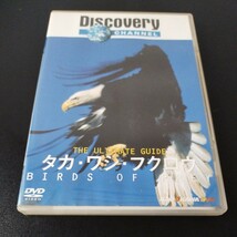 中古品★ディスカバリーチャンネル タカ・ワシ・フクロウ DVD_画像1