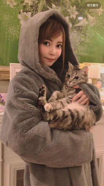 mmts/エコファー コート ロシアンブルー 中川翔子