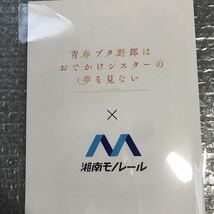 青春ブタ野郎はおでかけシスターの夢を見ない　湘南モノレールコラボ　記念硬券セット　桜島麻衣 梓川咲太 梓川花楓 牧之原翔子 双葉理央_画像3