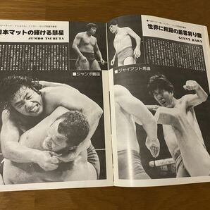 全日本プロレス 77第一次サマーアクションSのパンフレットの画像4