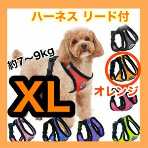 XL オレンジ リード付き ハーネス 散歩 首輪 胴輪 ペット メッシュ 犬猫兼用