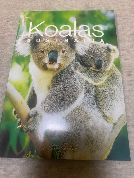 コアラ　写真集　ガイドブック　オーストラリア