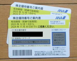 【即決＆送料無料】ANA 株主優待 2枚セット　有効期限:2024年11月30日